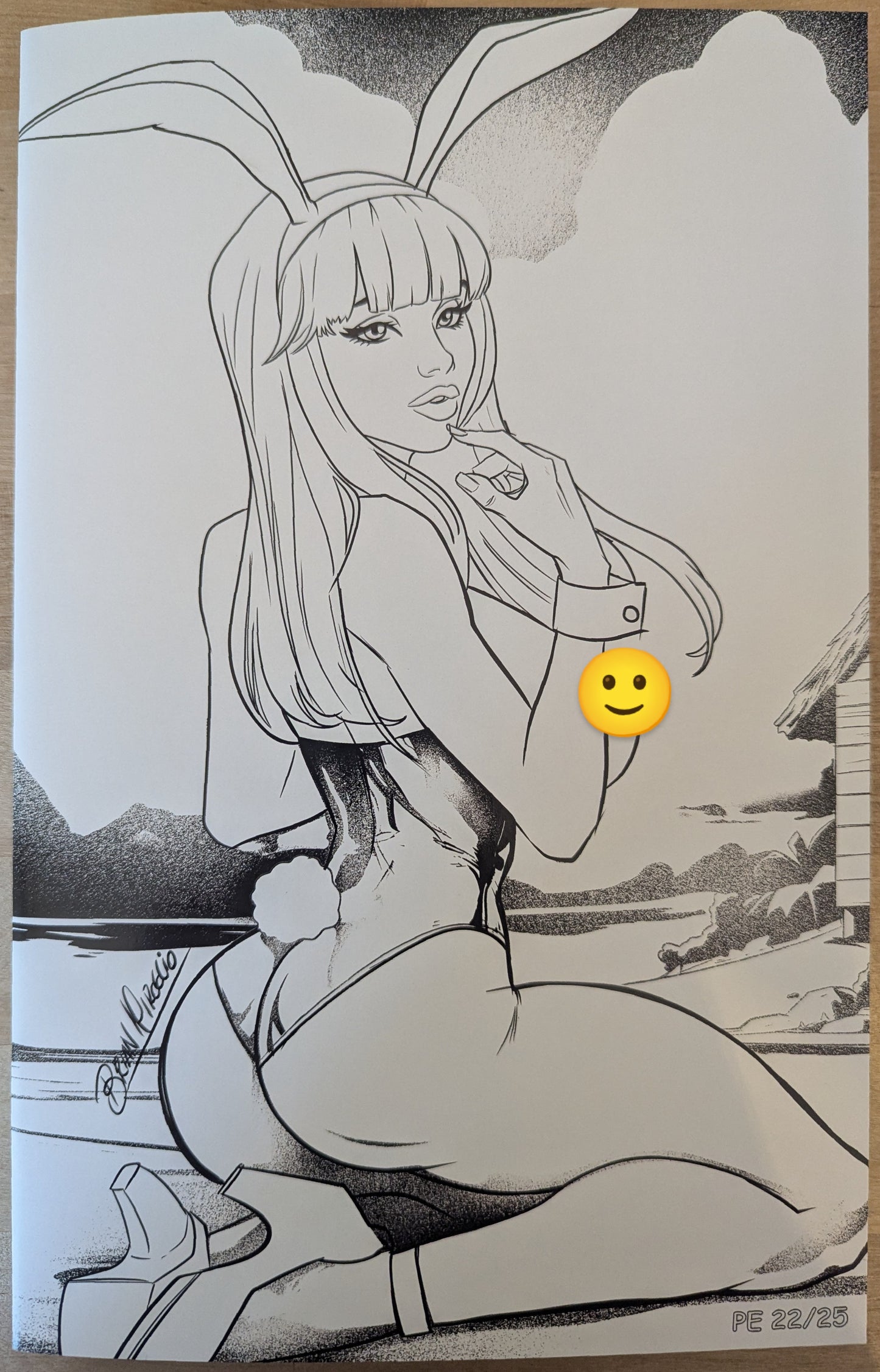 Bunny B