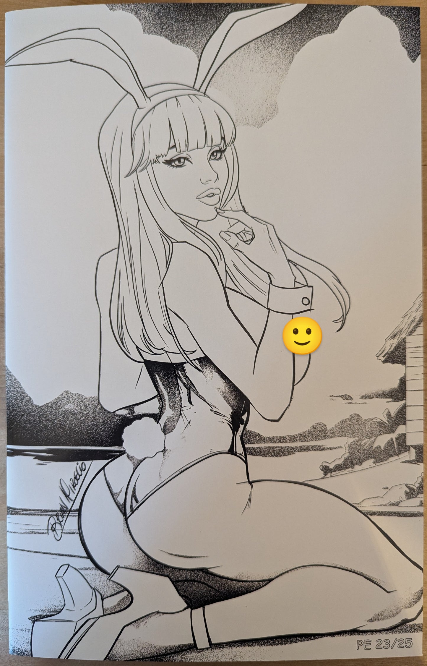 Bunny B