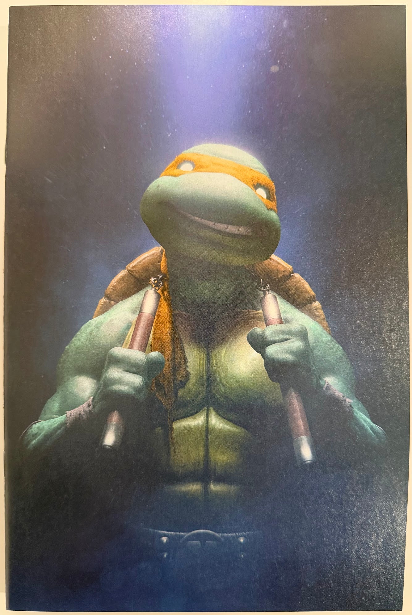 TMNT #2