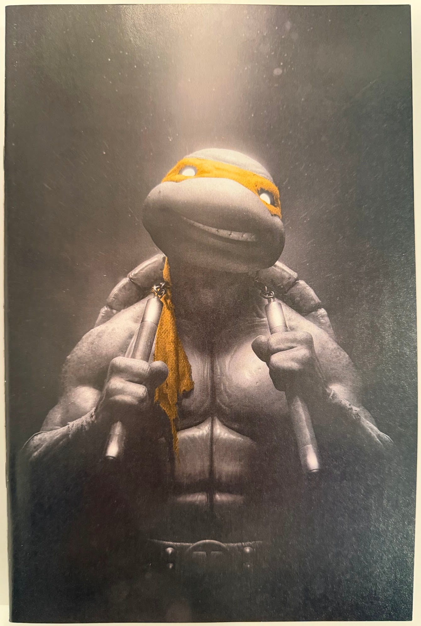 TMNT #2