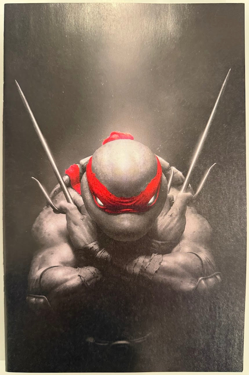 TMNT #1