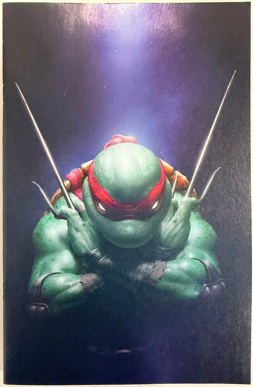 TMNT #1